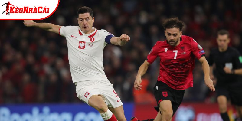 Thành tích so tài Ba Lan vs Albania