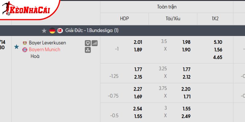 Tỷ lệ kèo Bayer Leverkusen vs Bayern Munich